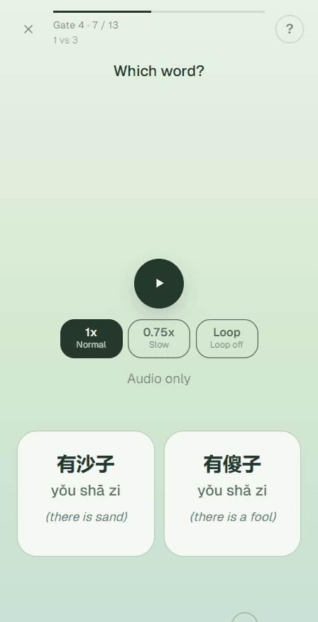 Tone drill: Which word? Choose 有沙子 yǒu shā zi or 有傻子 yǒu shǎ zi